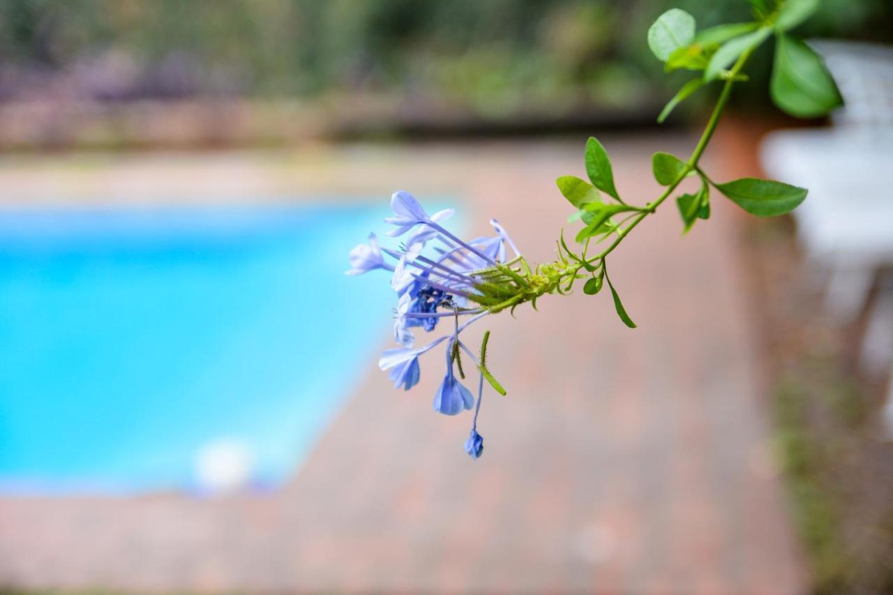 Hostel Posada Juan Ignacio 로자리오 외부 사진